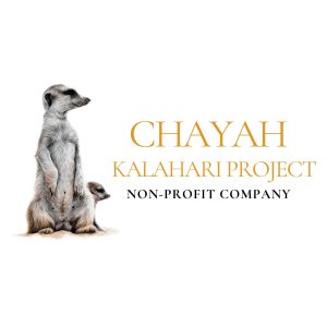 Chayah_Meerkat Meerkat Rescue Org